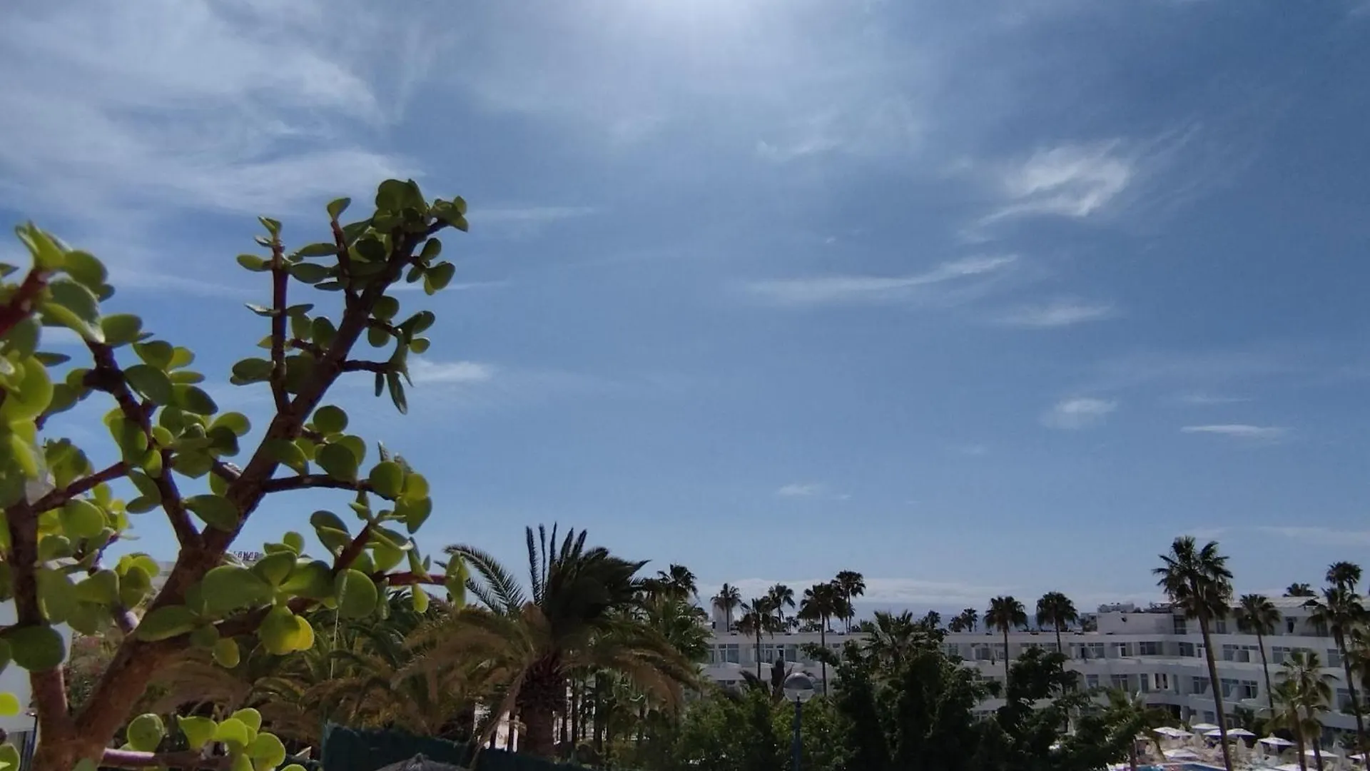 Apartment Garden City Costa Adeje  Spain
